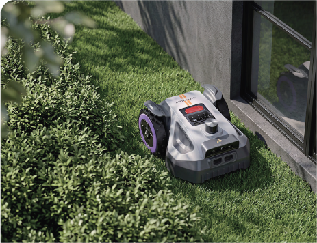 01-MPRO-5